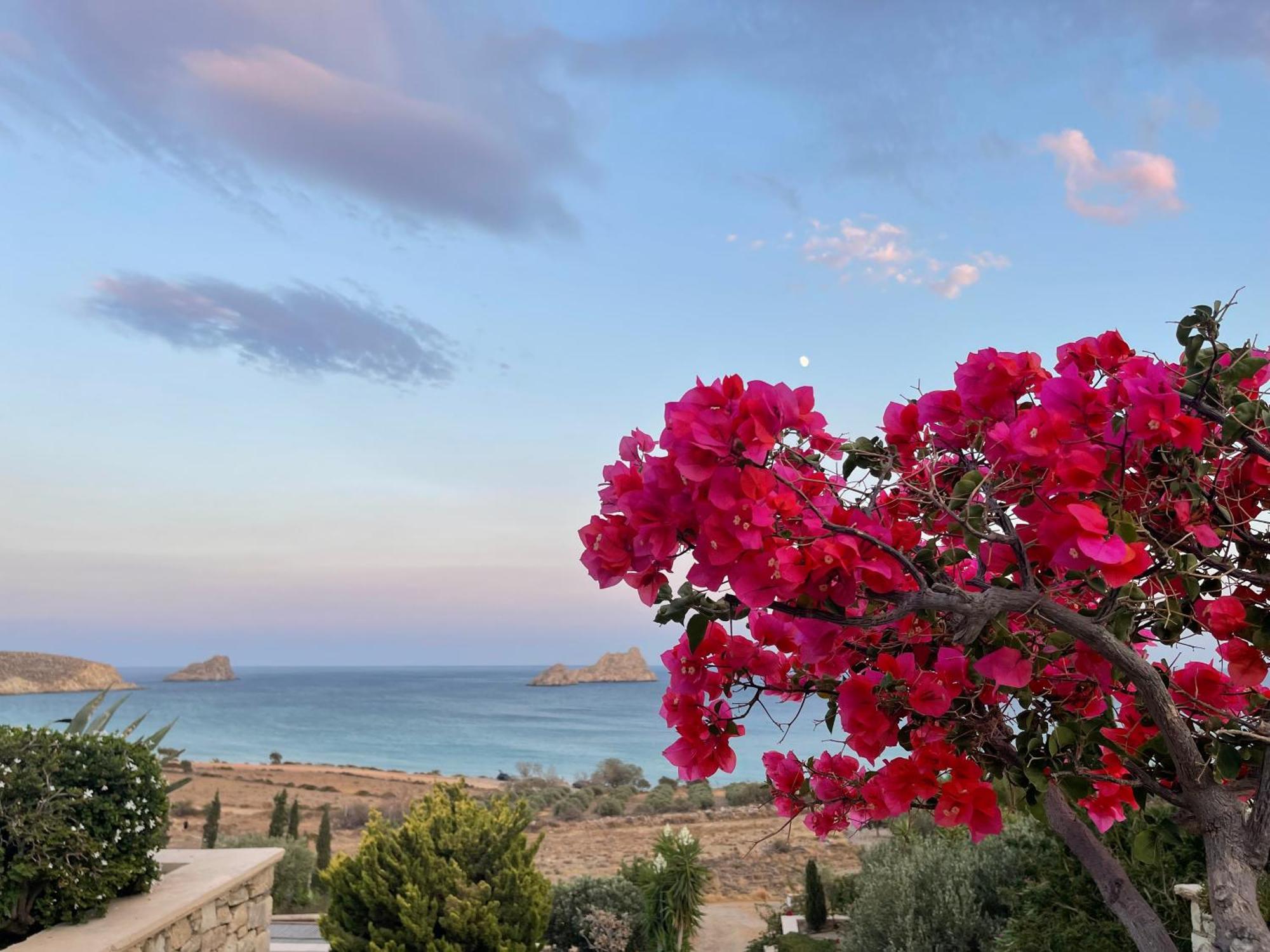 Natica Mare Villas Ксерокампос Екстер'єр фото