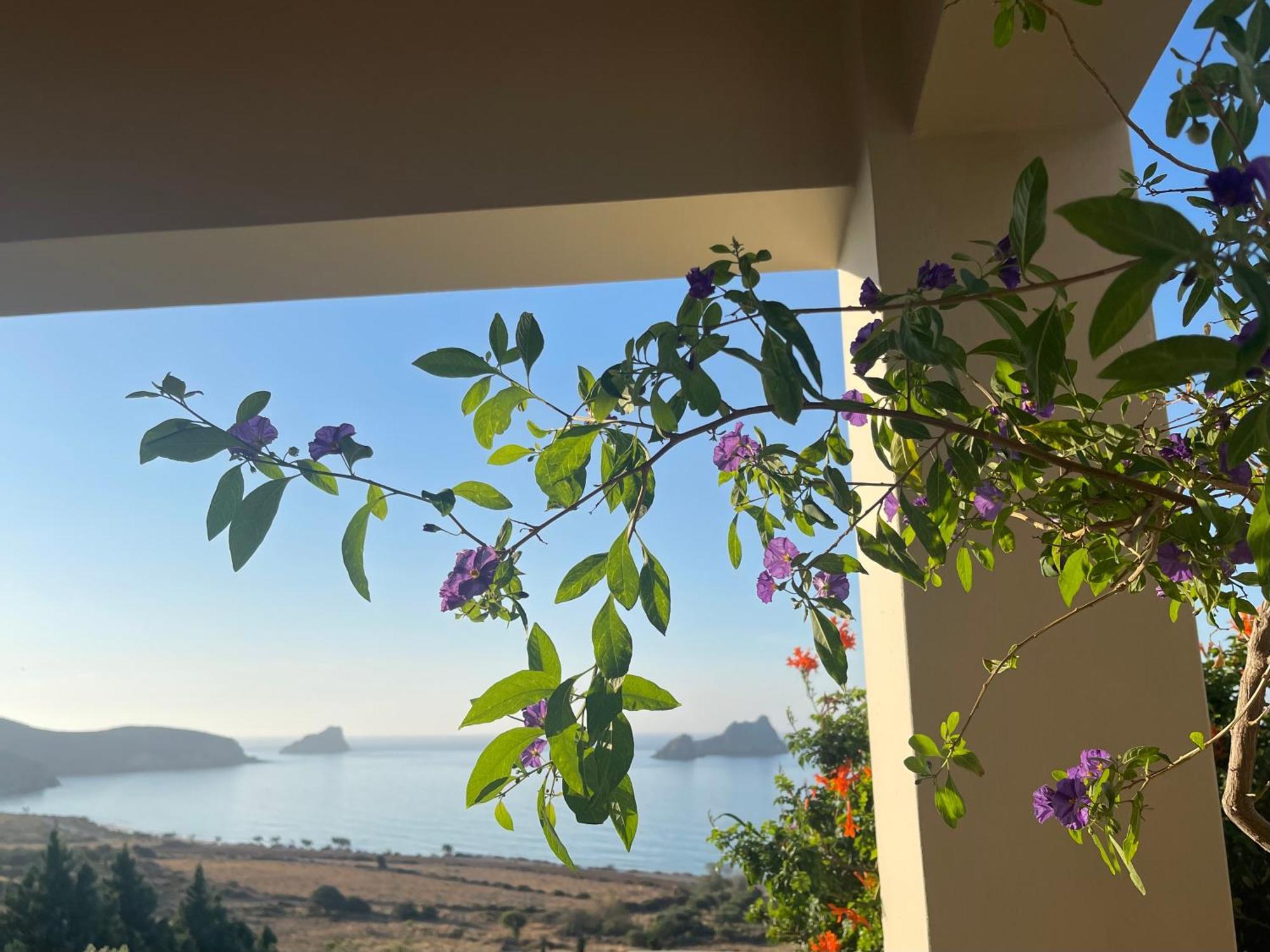 Natica Mare Villas Ксерокампос Екстер'єр фото